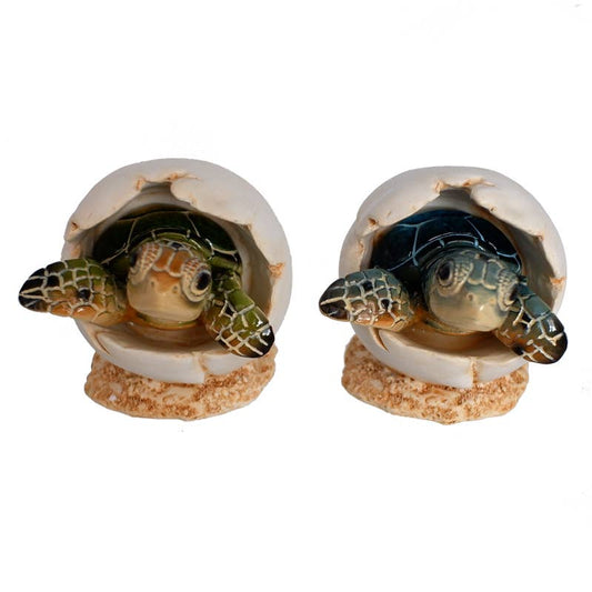 2.5" Baby Sea Turtles in Shell Resin Figurines - 2 Assorted
